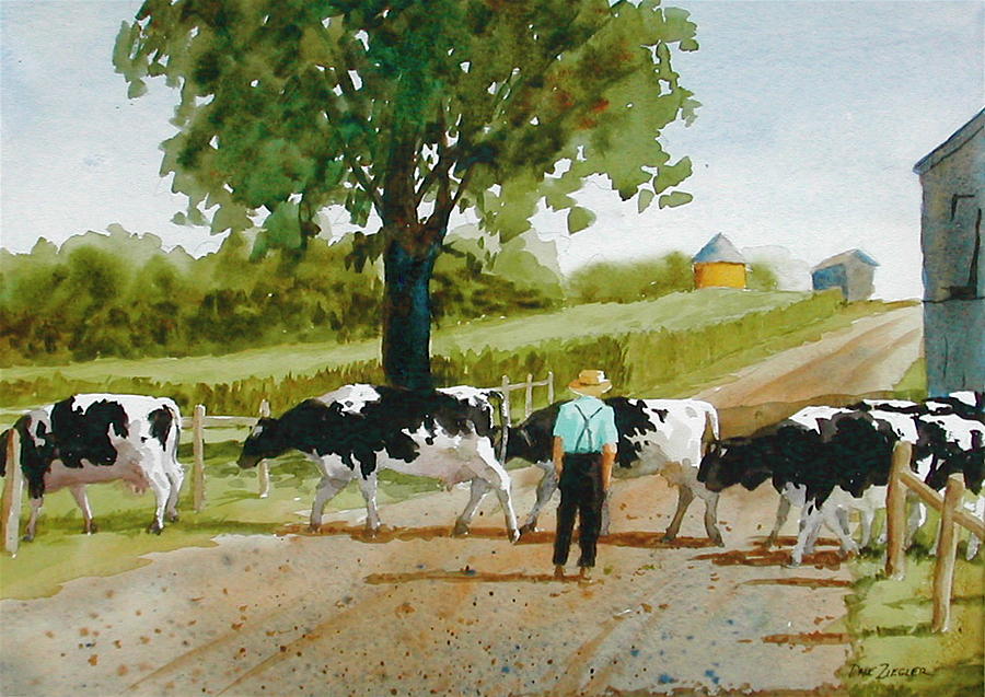 900x637 Cattle Crossing Painting By Faye Ziegler - Amish Painting