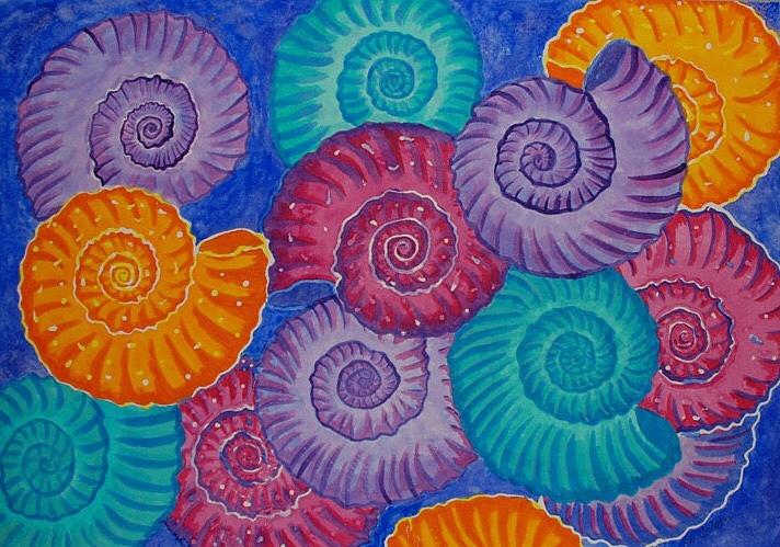 Ammonite Painting at PaintingValley.com | Explore collection of ...