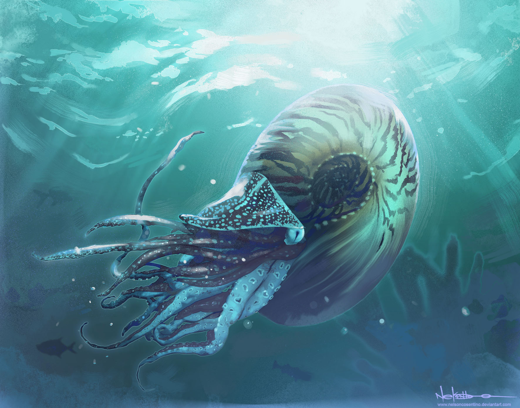 1772x1391 Ammonite By Nelsoncosentino - Ammonite Painting