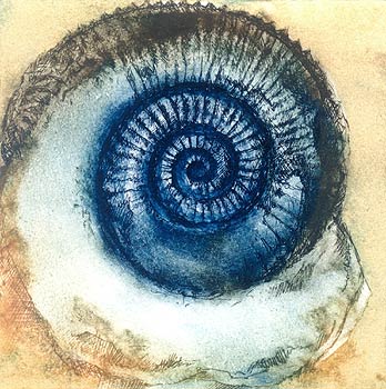 348x350 Louise Bird Ammonite Gallery - Ammonite Painting