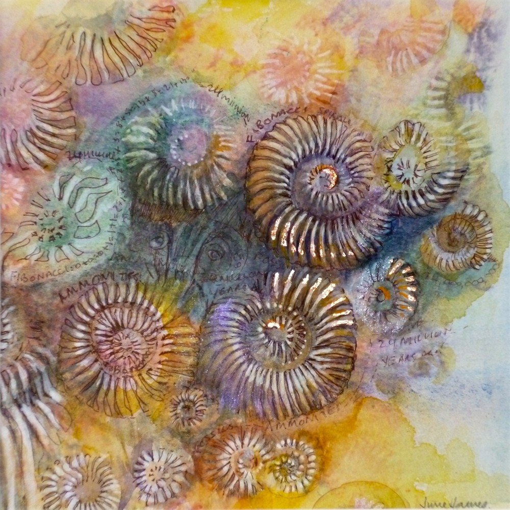 Ammonite Painting at PaintingValley.com | Explore collection of ...