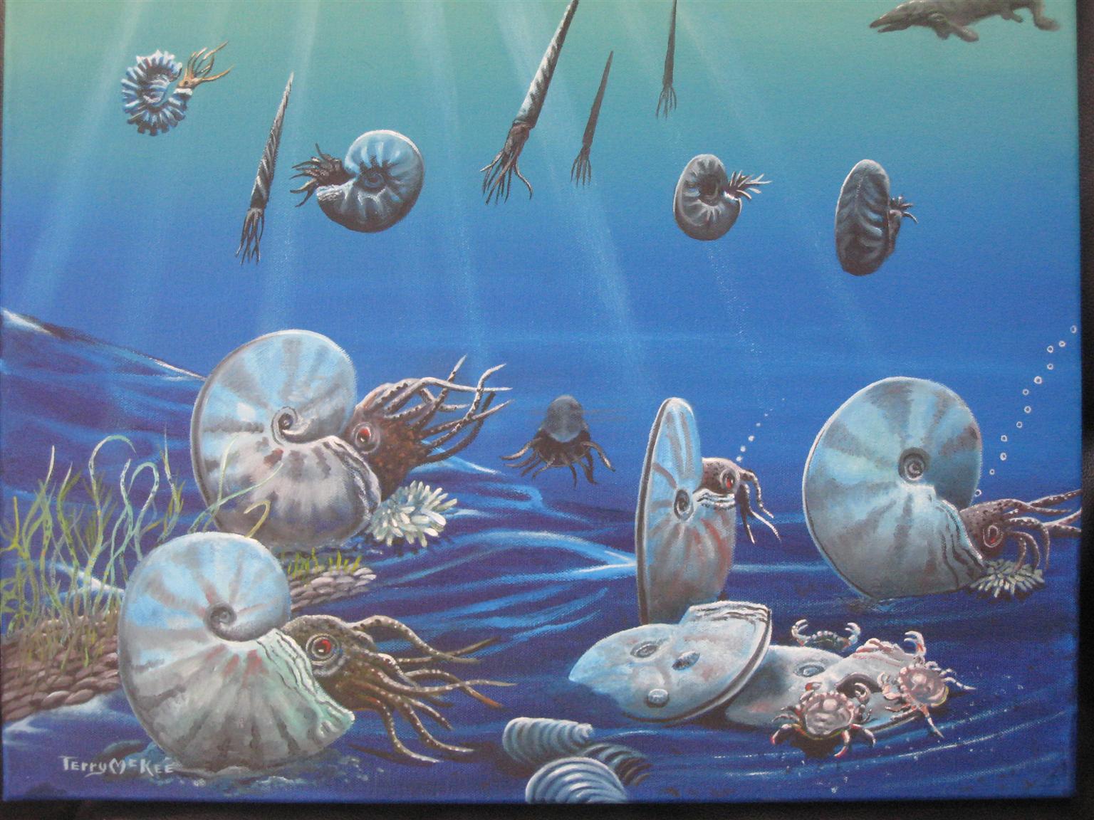 1536x1152 The Natural World The Story Of The Kremmlingmmonite Sitend - Ammonite Painting