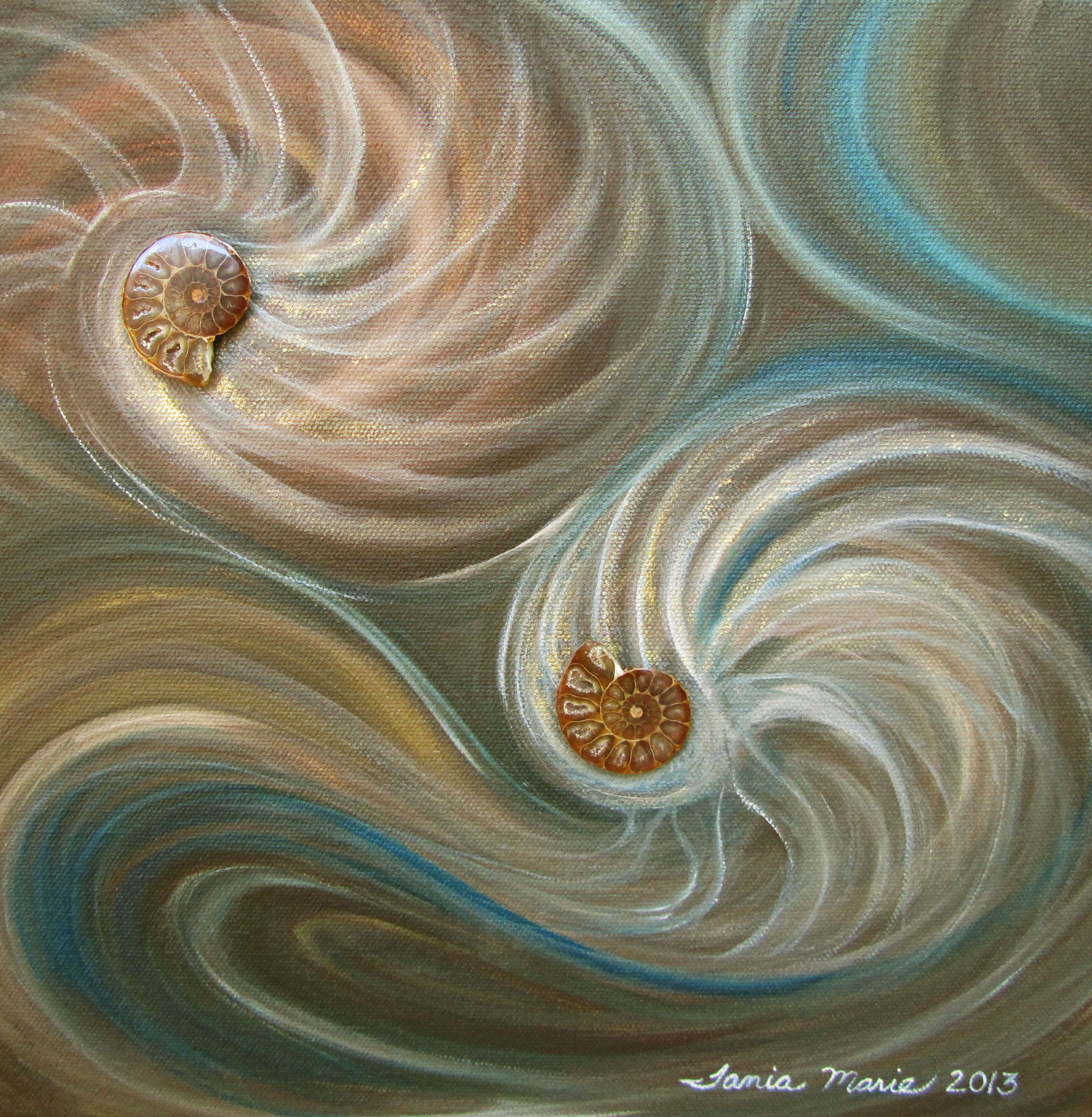 2096x2144 Ammonite Metaphysical Properties Tania Marie's Blog - Ammonite Painting