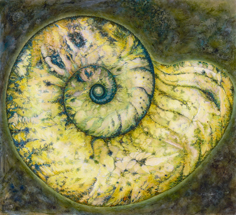 800x727 Ammonite Fossil Ascend Artist Sydney Strahan - Ammonite Painting