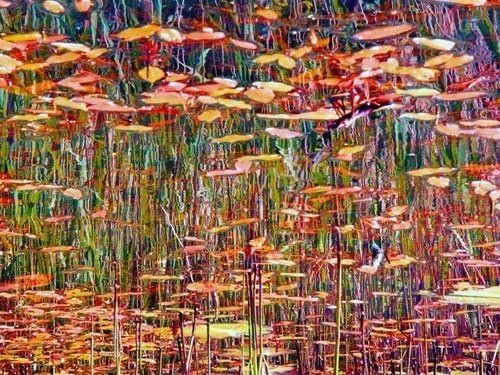 500x375 Free Jackson Pollock Backgrounds - An Original Pollock Painting