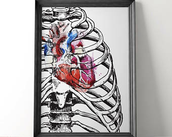 340x270 Anatomical Heart Art Etsy - Anatomical Heart Painting