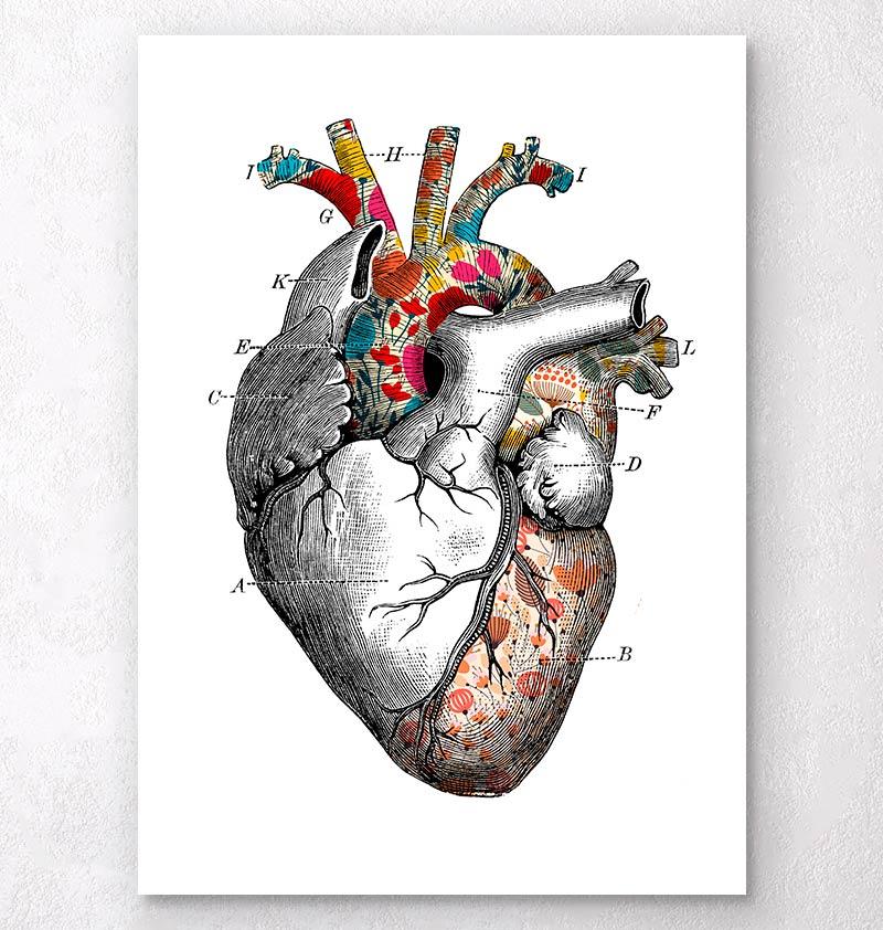800x842 Floral Pattern Heart Anatomy Art - Anatomical Heart Painting