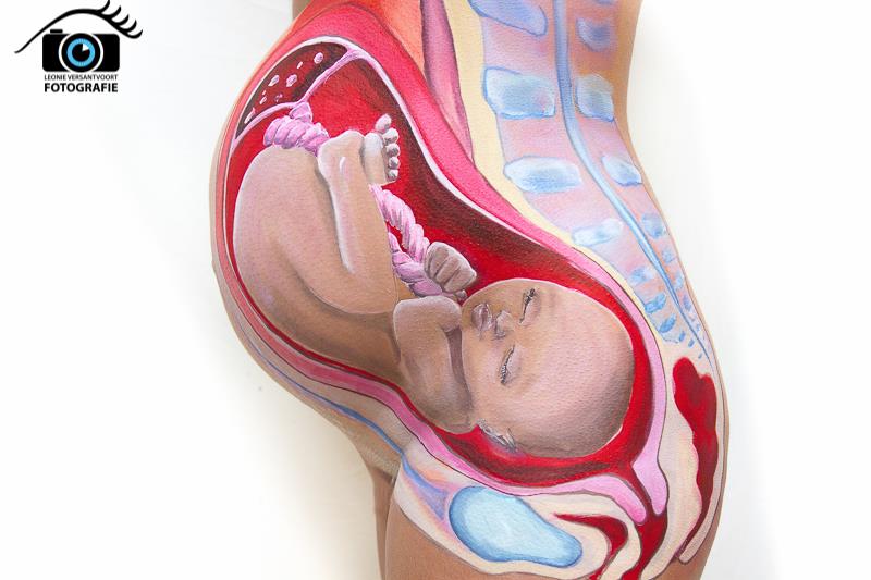 800x533 Anatomical Body Painting On A Pregnant Woman Shows A Developing Fetus - Anatomical Painting