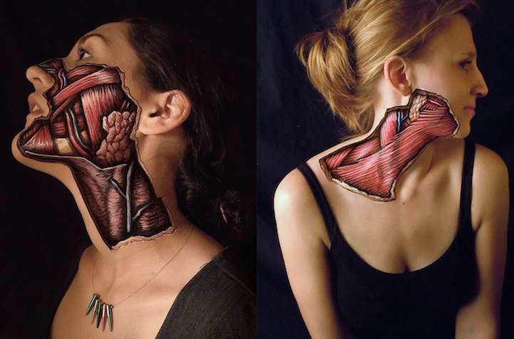 721x476 Incredibly Realistic Anatomical Paintings Reveal The Inner - Anatomical Painting