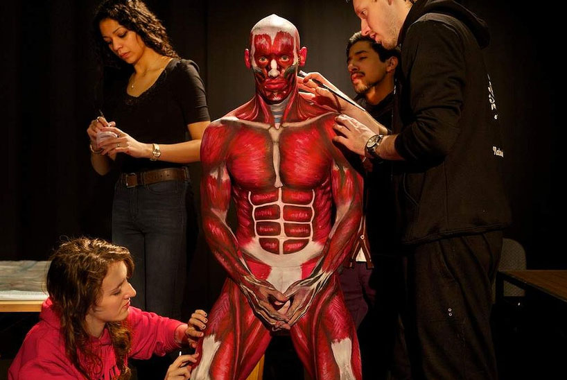 818x548 Rmit Students Paint Anatomical Man Into Human Textbook - Anatomical Painting