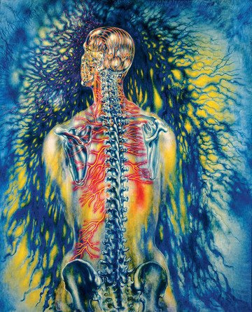 360x445 Tchelitchew, Pavel (1898 1957) - Anatomical Painting