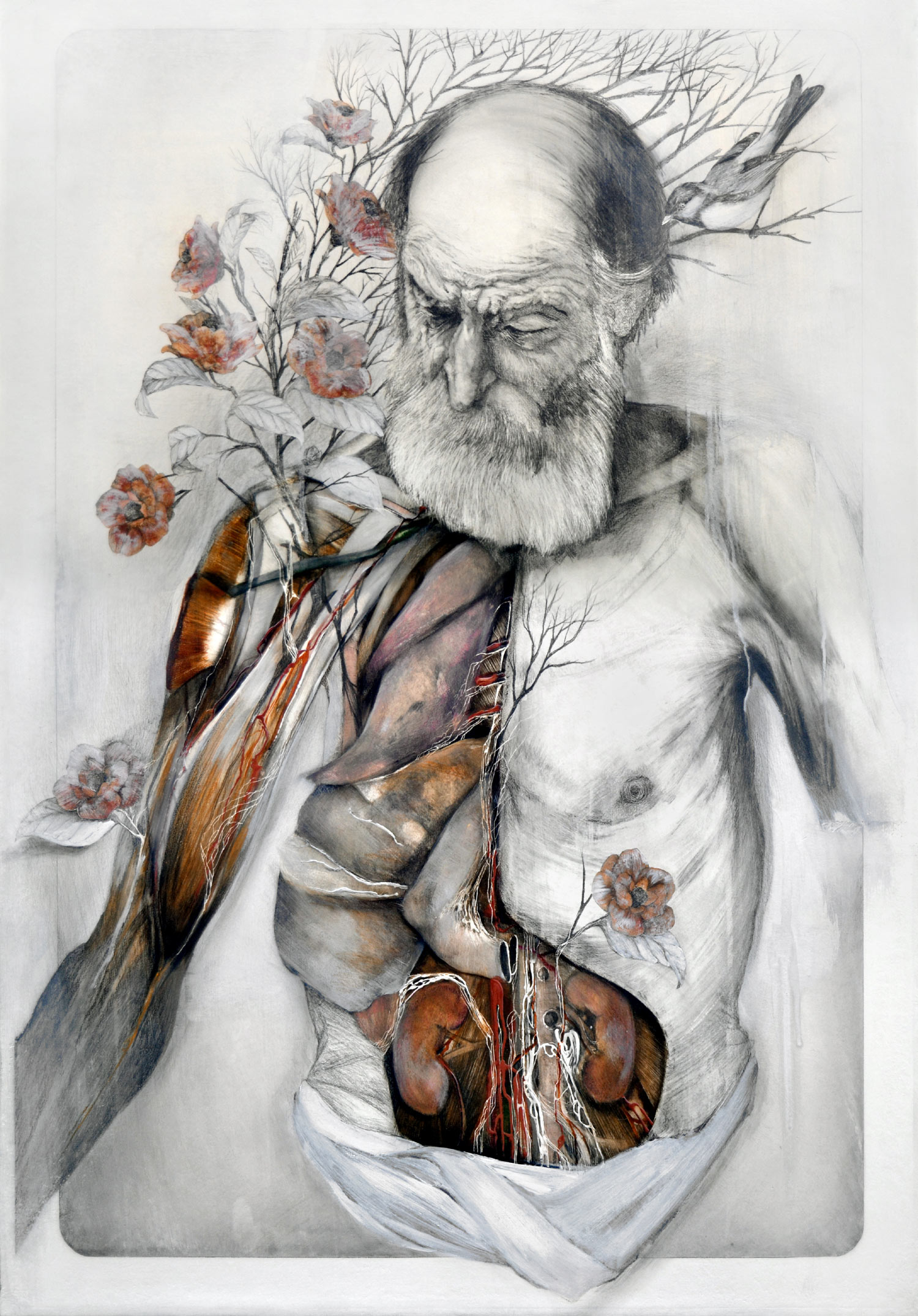 1500x2150 Plants Grow From Human Anatomy In Poetic Paintings Of Decaying - Anatomy Painting