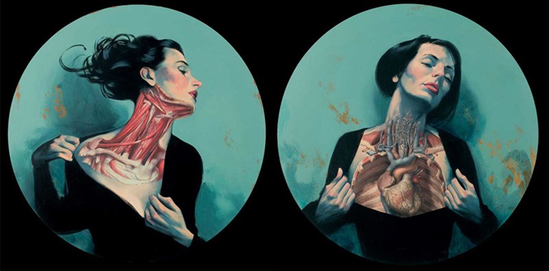 800x395 Anatomical Paintings Fernando Vicentes Anatomical Art - Anatomy Painting