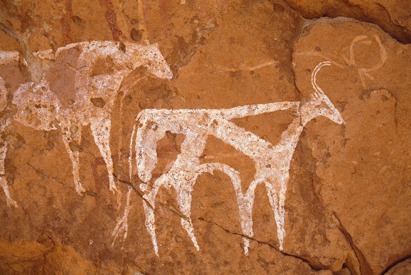 800x536 Chad Rock Art Trust For African Rock Art - Ancient Rock Painting