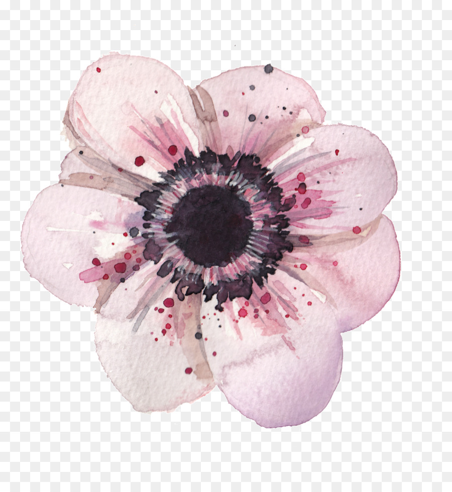 900x980 Flower Anemone Watercolor Painting Drawing - Anemone Flower Painting