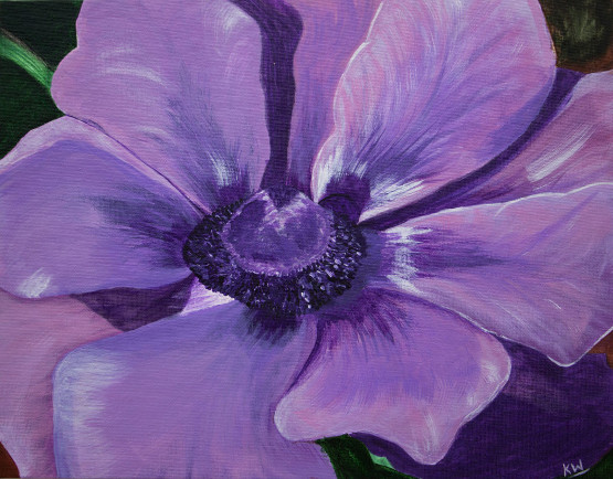 555x434 Original Art For Sale Online Anemone Flower Painting For Sale - Anemone Flower Painting