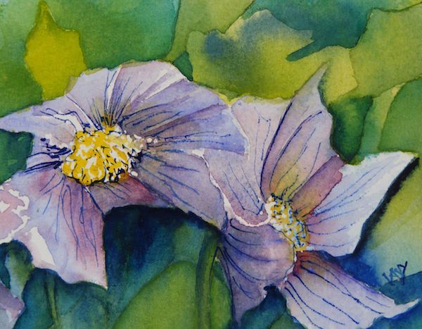 600x467 Watercolour Flower Painting Anemone Pair - Anemone Flower Painting