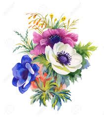 211x239 Afbeeldingsresultaat Voor Anemone Flower Painting Bloemen - Anemone Flower Painting
