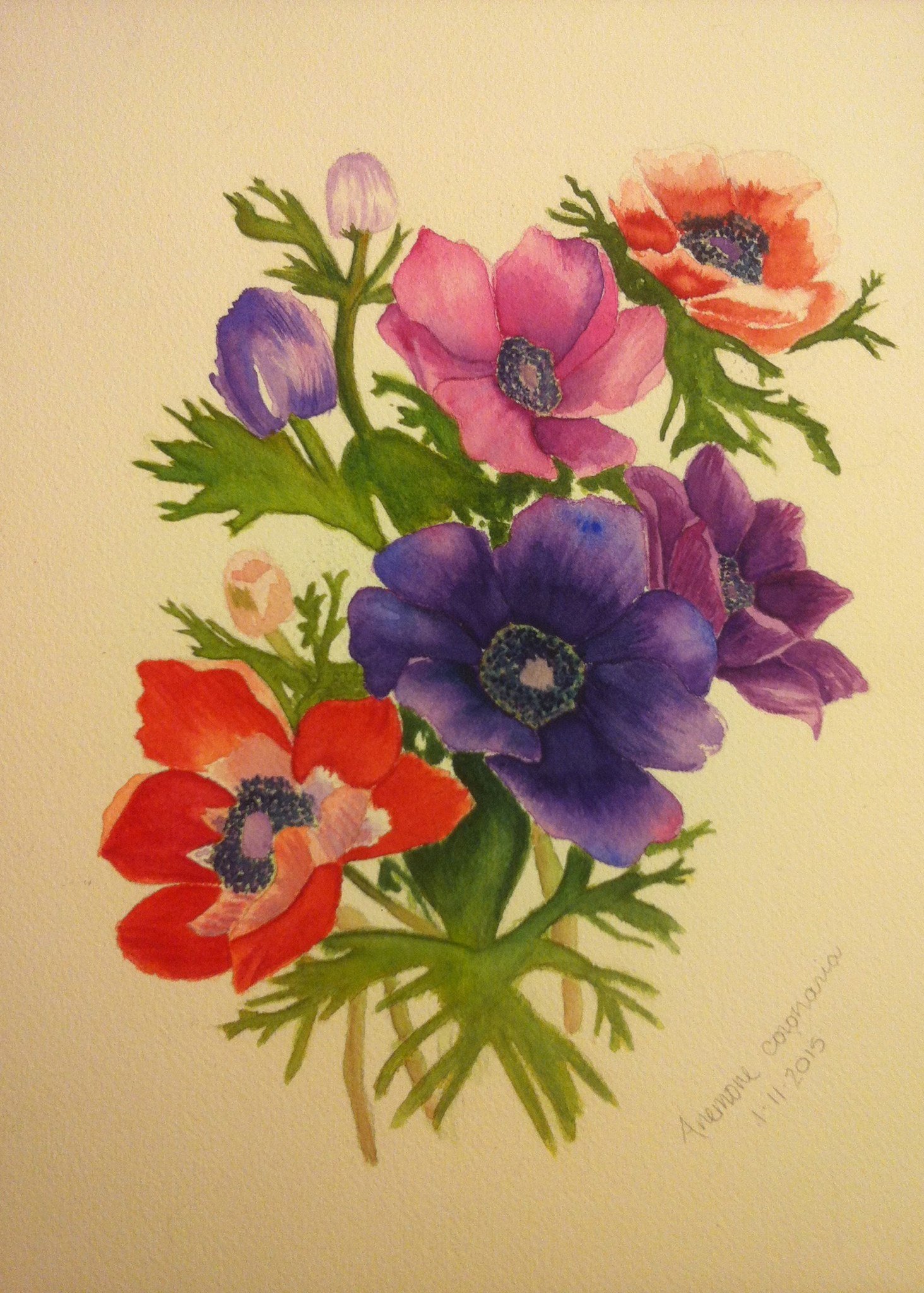 1464x2048 Watercolor Brush With The Law - Anemone Flower Painting