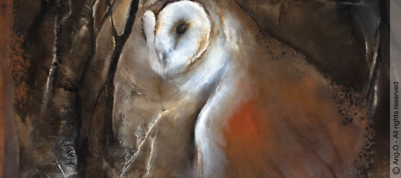 807x358 Ang.o Paintings Animals Wildlife Nature ~ Animal Paintings Animal - Ang Painting