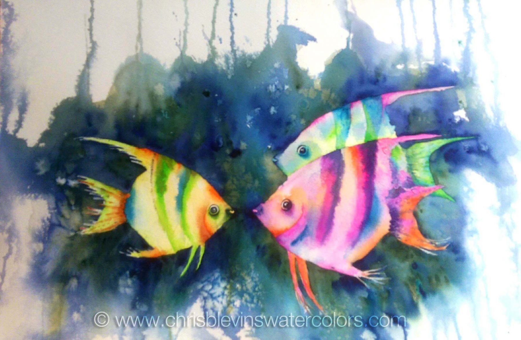 1800x1176 Three Angel Fish Chris Blevins Watercolors - Angel Fish Painting