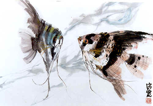 500x346 Fishcht - Angel Fish Painting