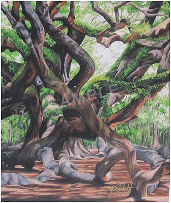 336x400 Deep Roots (Angel Oak) Painting Print By Artist Jill Strickland - Angel Oak Painting