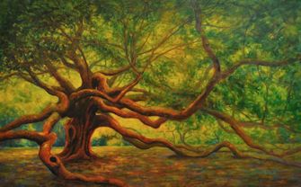 335x208 Ann Mclaughlin - Angel Oak Tree Painting