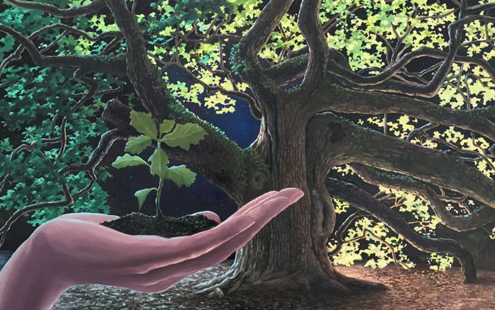700x438 Check Out This Painting By Local Artist Alex Radin Of The Angel - Angel Oak Tree Painting