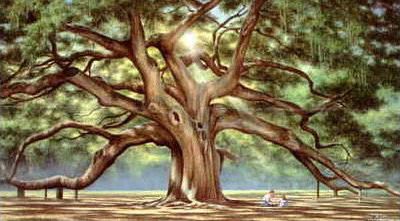 400x221 Live Oaks!! Angel Oak By Jim Booth Lowcountry Essentials - Angel Oak Tree Painting