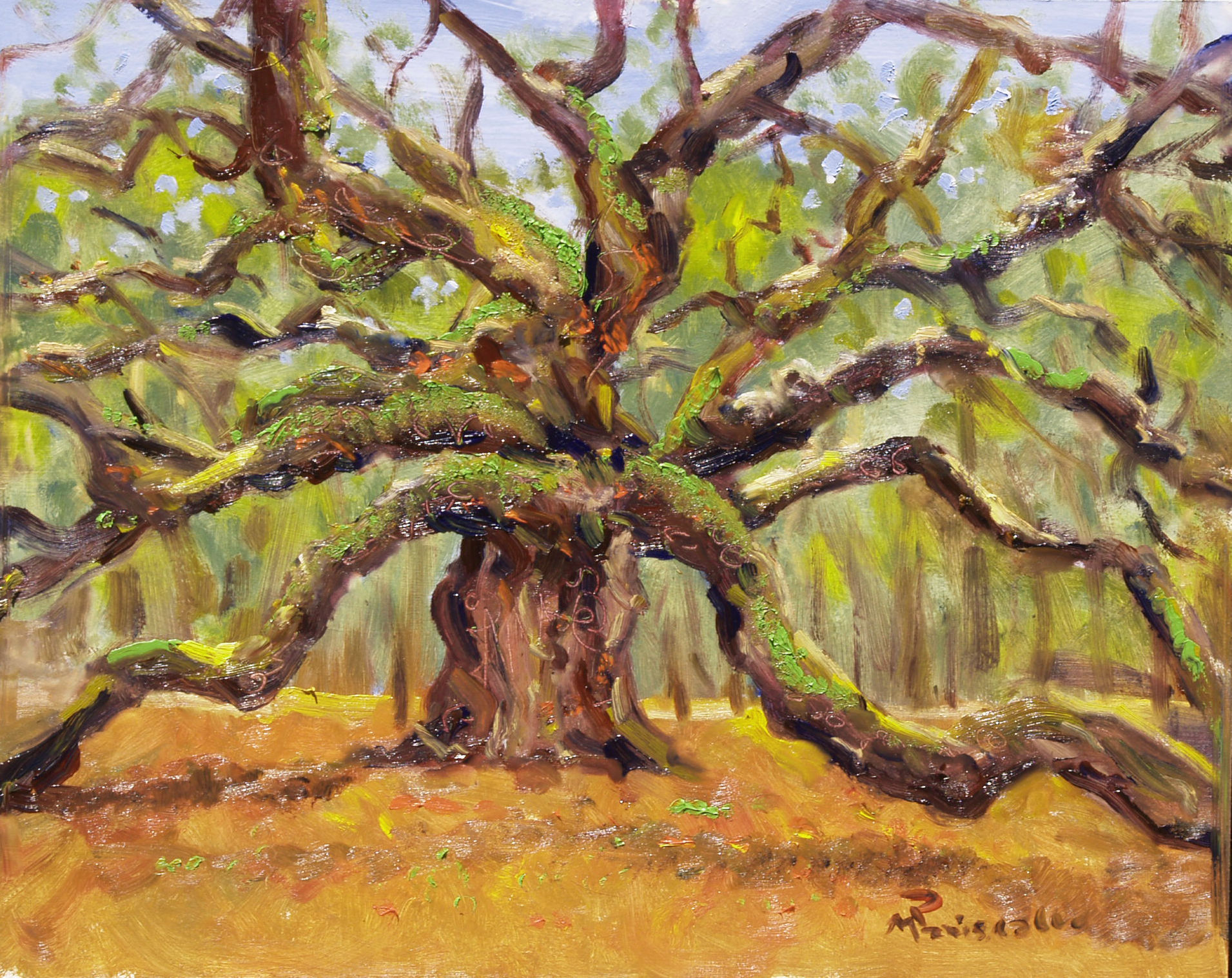 Angel Oak Tree Painting At Explore Collection Of