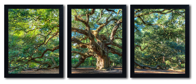 640x274 Angel Oak Charleston' Multi Panel Framed Canvas Art Set By Pierre - Angel Oak Tree Painting