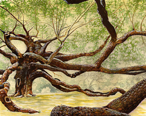 300x239 Angel Oak Tree Paintings Pixels - Angel Oak Tree Painting