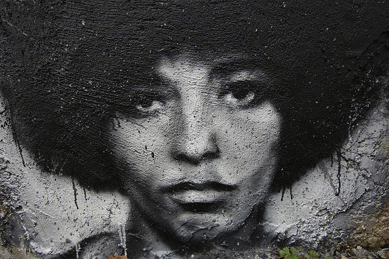 800x533 Angela Davis, Painted Portrait Img 6929004 Free Download - Angela Davis Painting