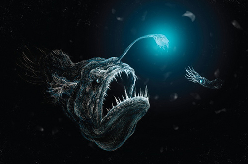 500x331 Vision In The Deep Sea Studies In Evolutionary Biology - Angler Fish Painting