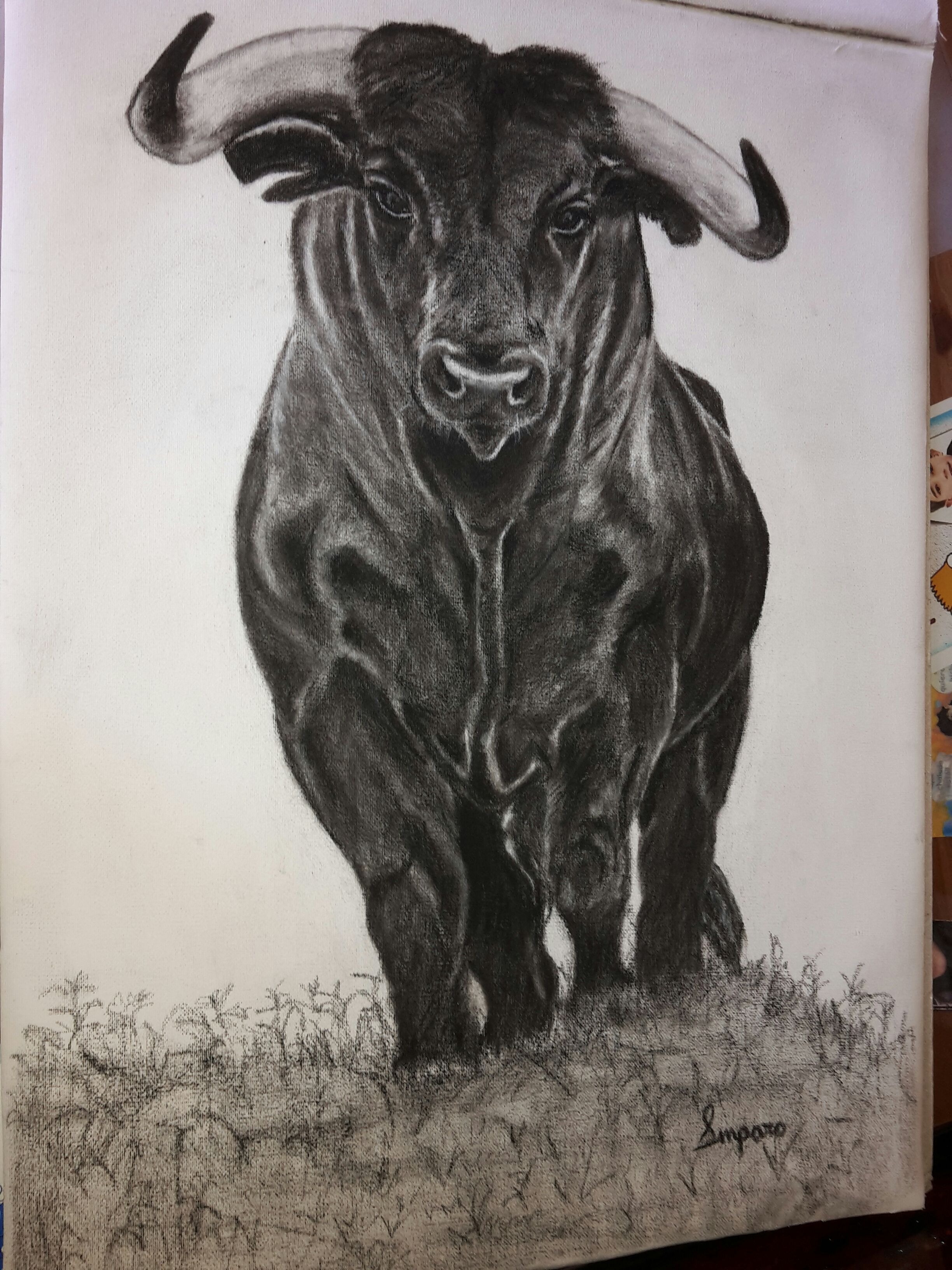 2448x3264 Brave Bull, Charcoal, Drawings, Buy Original Art - Angry Bull Painting