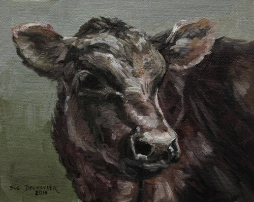 500x399 Black Angus Calf Cattle Beef Cow Original Oil Painting Art Sold By - Angus Painting