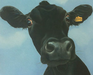 300x242 Aberdeen Angus Cow Painting Fine Art Print Contemporary Picture By - Angus Painting