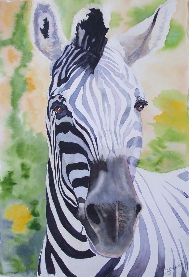 614x900 Zebra Painting Got To Love Zebra Zebra Painting - Animal Crossing Fine Painting
