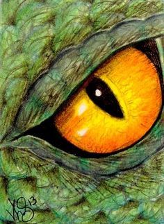 236x323 Animal Eyes On Dragon Eye, Lizards And Eye Close Up - Animal Eye Painting