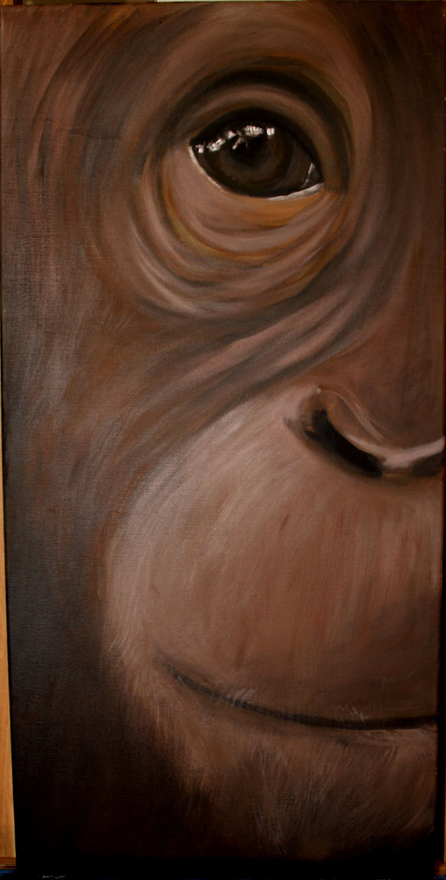 636x1255 Orangutan Acrylics Eye By Meeshel99 - Animal Eye Painting