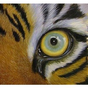 300x300 Pin By Jamie Gray On Animal Eyes Drawing Ideas - Animal Eye Painting