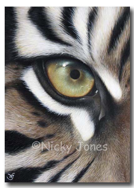 429x600 Wildlife, Animal And Nature Art, Portraits Of Small Pets, Birds - Animal Eye Painting