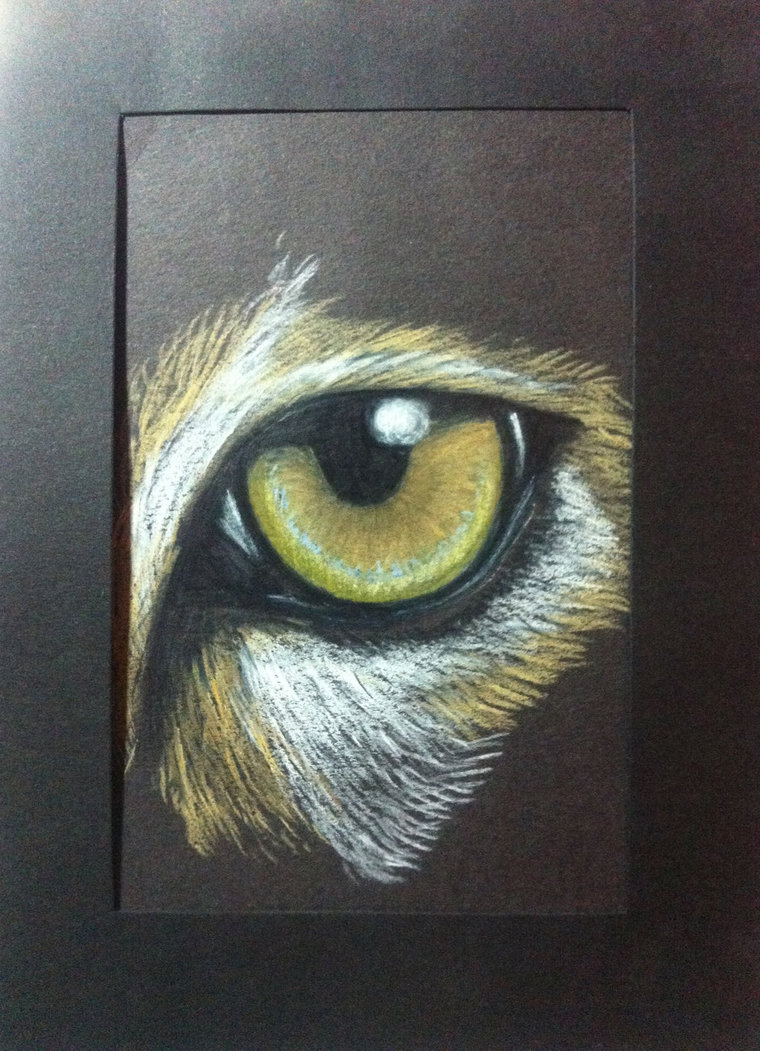 760x1051 Animal Eye By Autumn Aries - Animal Eye Painting