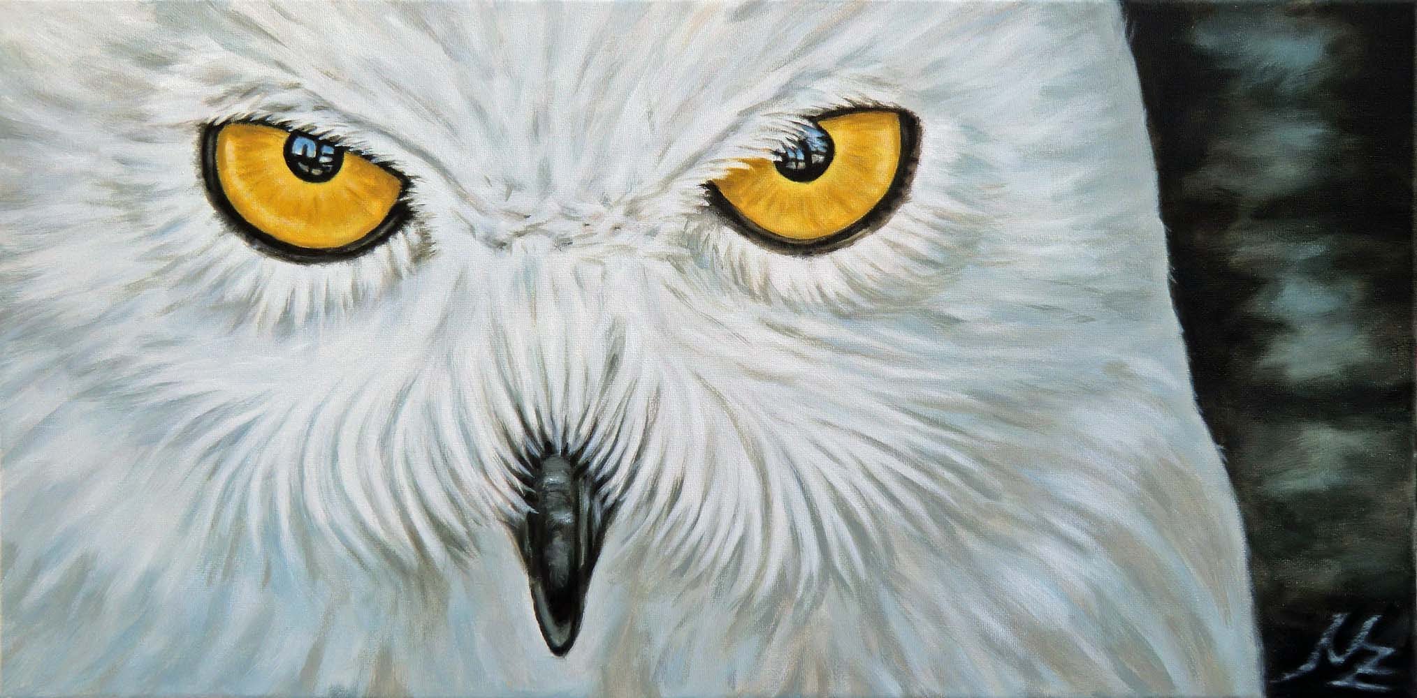 2028x1000 Animal Eyes - Animal Eye Painting