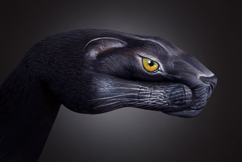 800x536 Guido Daniele - Animal Hand Painting
