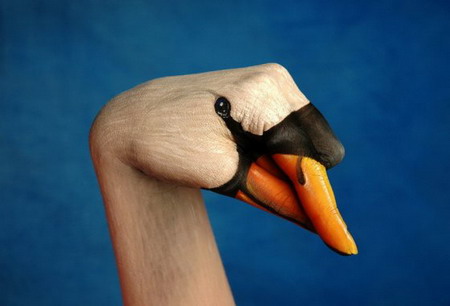 450x306 Hand + Painting = Animal Design Swan - Animal Hand Painting