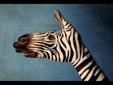 480x360 Hand Painting Animals - Animal Hand Painting
