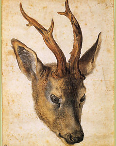 239x300 Deer Head Albrecht Durer Renaissance Animal Painting 8x10 Real - Animal Head Painting