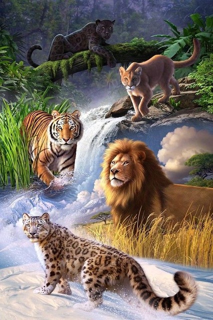 Animal Kingdom Painting at PaintingValley.com | Explore collection of ...